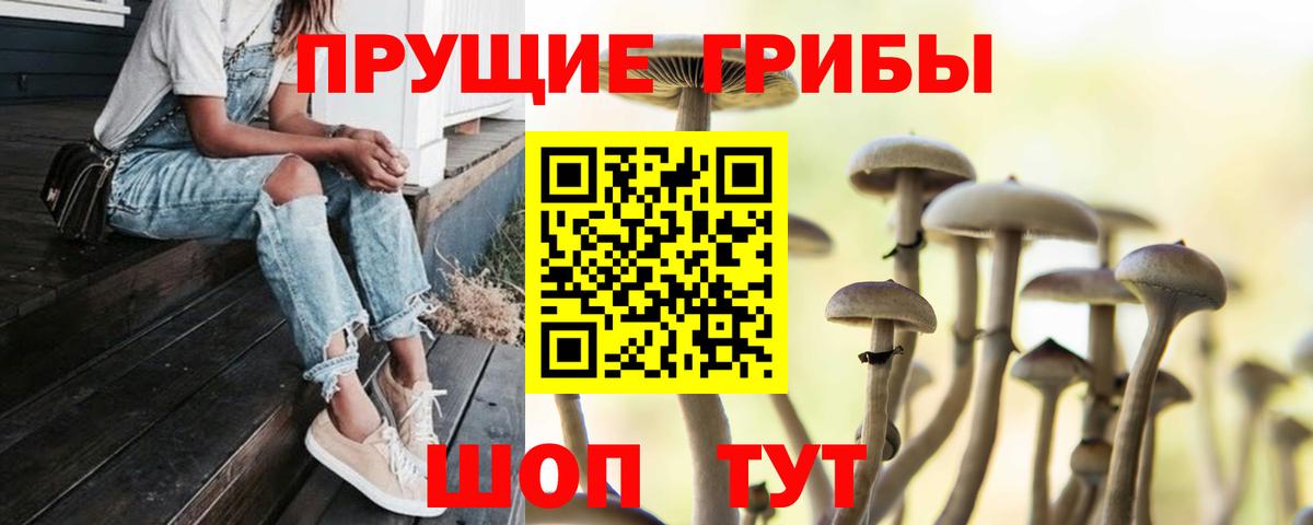 Галлюциногенные грибы мицелий Унеча